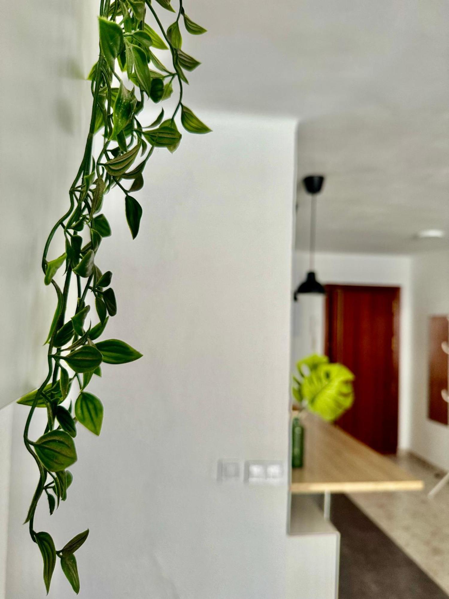 Acogedor Apartamento En מאלגה מראה חיצוני תמונה